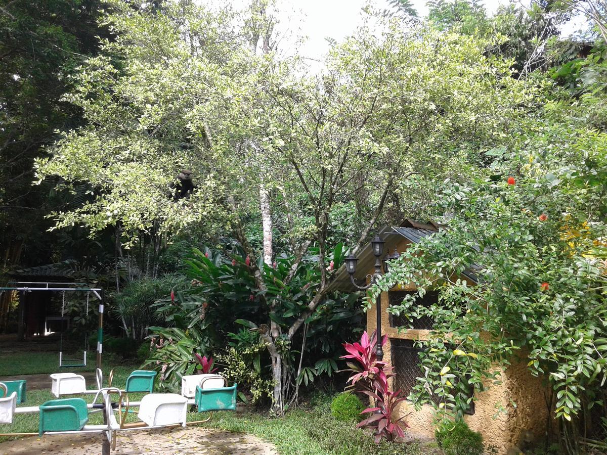 גאלה Hareesha Holiday Resort מראה חיצוני תמונה